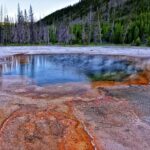 vibrant hot spring in yellowstone national park