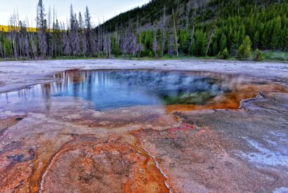 vibrant hot spring in yellowstone national park